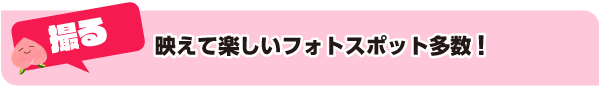 撮る：映えて楽しいフォトスポット多数！